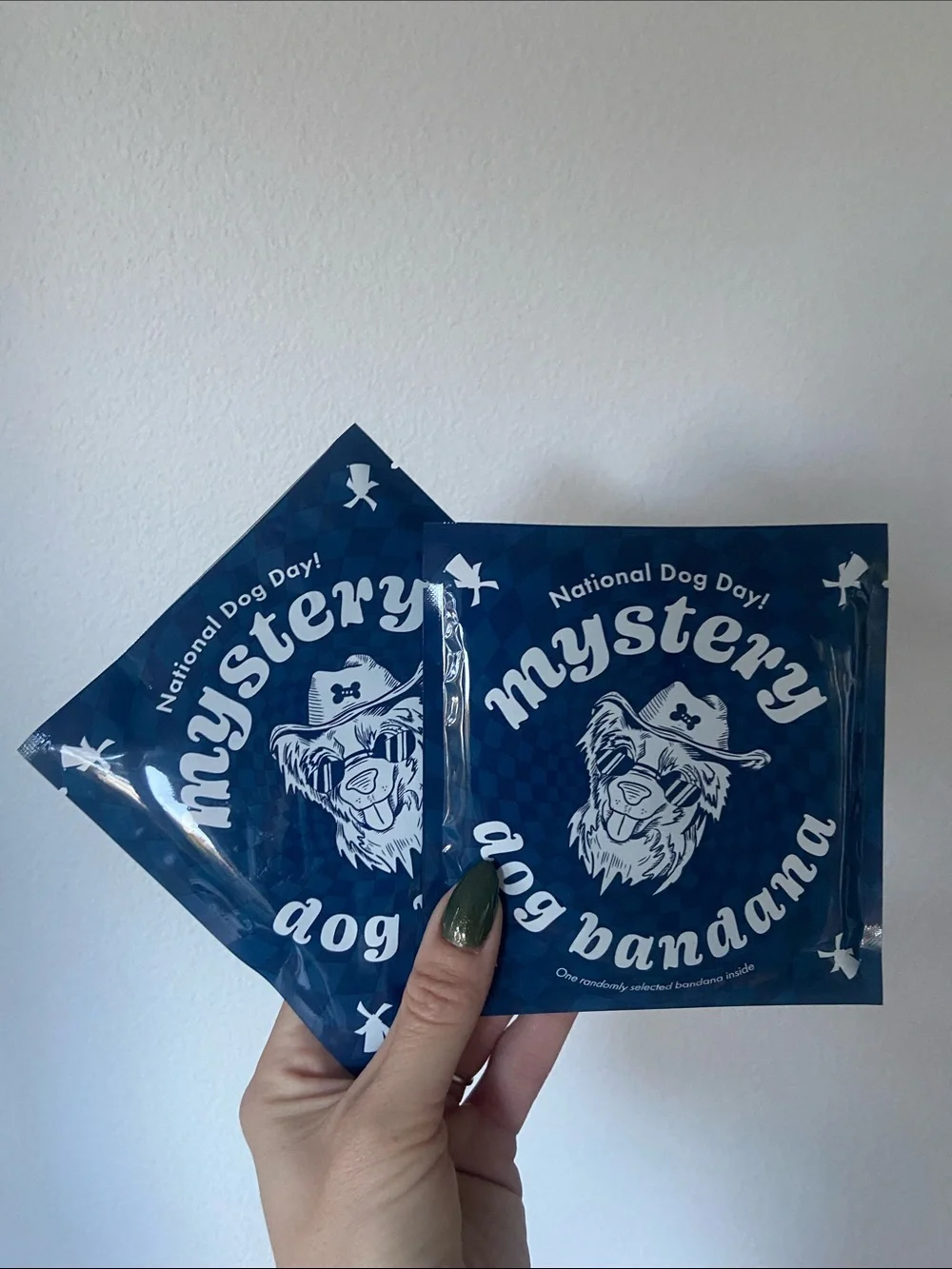 Dutch Bros Mystery Dog Bandanas x 2 National Dog Day 2026 pet accessories OSFM